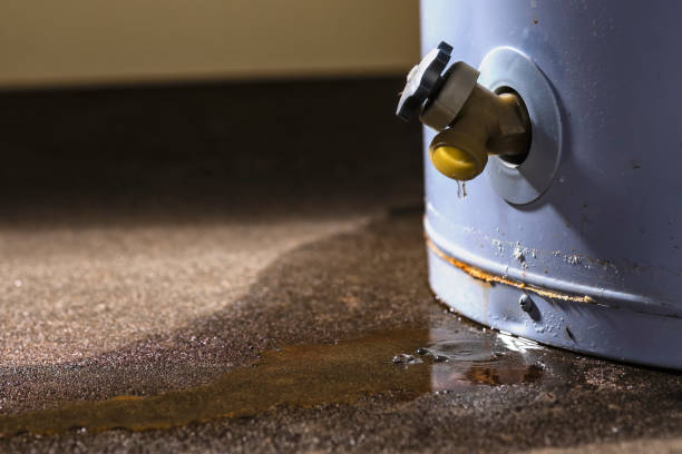Best Sewage cleanup and water damage restoration  in Monahans, TX