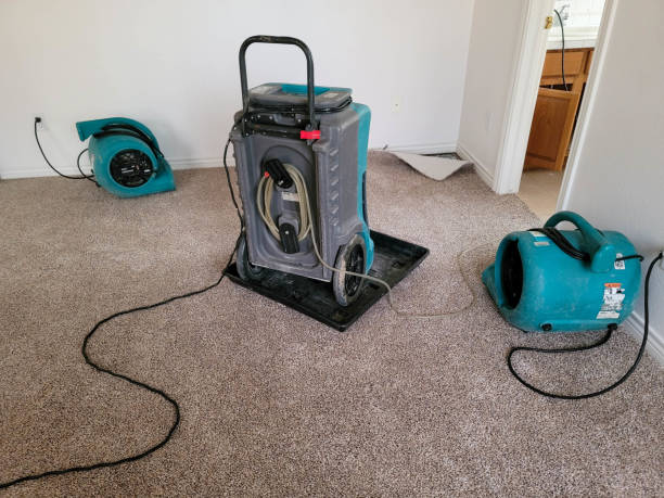 Best Flood restoration services  in Monahans, TX