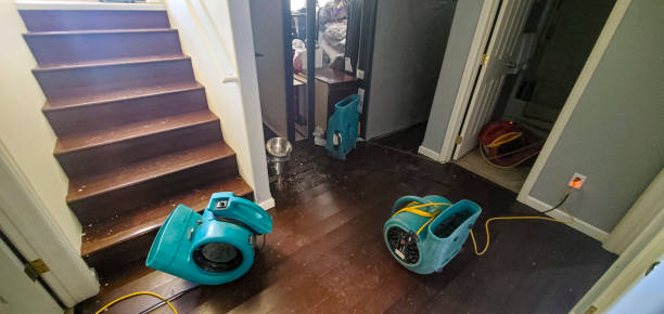 Best Residential water damage restoration  in Monahans, TX