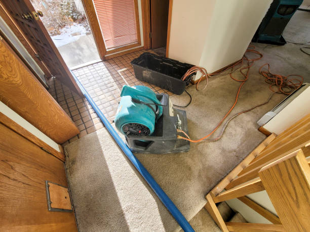 Best Water damage restoration near me  in Monahans, TX