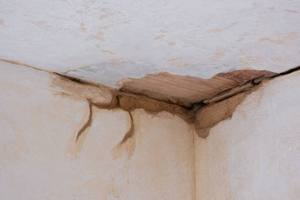 Best Ceiling water damage repair  in Monahans, TX