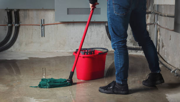Best Flooded house restoration  in Monahans, TX