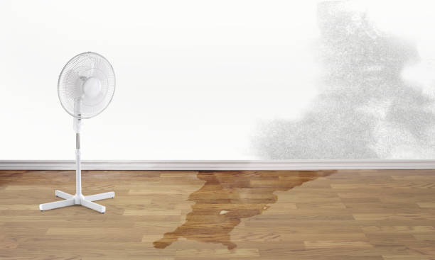 Best Sewage cleanup and water damage restoration  in Monahans, TX