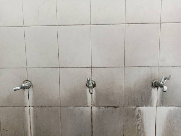 Best Water damage restoration process  in Monahans, TX