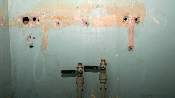 Best Local water damage restoration  in Monahans, TX