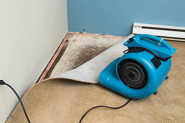 Best Emergency water damage restoration  in Monahans, TX